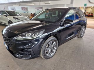 FORD Kuga 1.5 EcoBlue 120 CV 2WD ST-Line