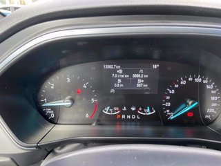 FORD Focus 1.5 EcoBlue 120CV 5p. ST-Line Style