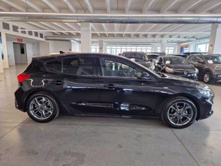 FORD Focus 1.5 EcoBlue 120 CV 5p. ST-Line