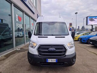 FORD Transit 350 2.0TDCi EcoBlue 170CV PL-SL-TA Furg. Jumbo Trend