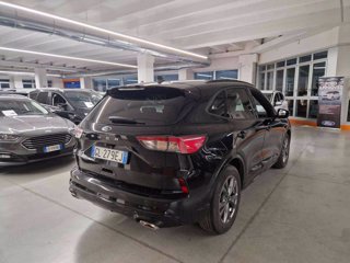 FORD Kuga 1.5 EcoBlue 120 CV aut. 2WD ST-Line X