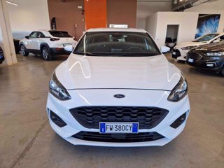 FORD Focus 1.5 EcoBlue 120 CV automatico 5p. ST-Line Co-Pilot
