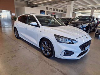 FORD Focus 1.5 EcoBlue 120 CV automatico 5p. ST-Line Co-Pilot