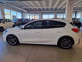 FORD Focus 1.5 EcoBlue 120 CV automatico 5p. ST-Line Co-Pilot