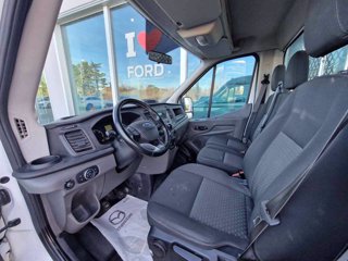 FORD Transit 350 2.0 EcoBl.MHEV 130 PWD PM-RG Cass.Rib.Tril.Trend