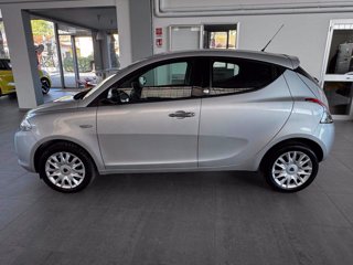 LANCIA Ypsilon 1.2 69 CV 5 porte GPL Ecochic Elefantino