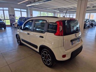 FIAT Panda 1.0 FireFly S&S Hybrid City Life