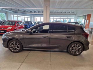 FORD Focus 1.0 EcoBoost Hybrid 125 CV 5p. ST-Line