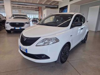 LANCIA Ypsilon 1.2 69 CV 5 porte GPL Ecochic Elefantino Blu