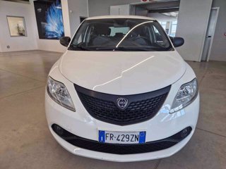 LANCIA Ypsilon 1.2 69 CV 5 porte GPL Ecochic Elefantino Blu
