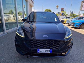 FORD Kuga 1.5 EcoBlue 120 CV 2WD ST-Line