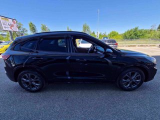 FORD Kuga 1.5 EcoBlue 120 CV 2WD ST-Line