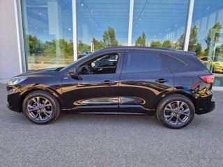 FORD Kuga 1.5 EcoBlue 120 CV 2WD ST-Line