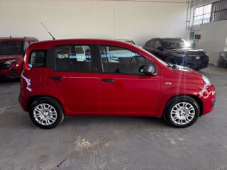 FIAT Panda 1.0 FireFly S&S Hybrid Icon