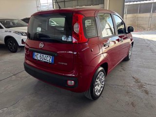 FIAT Panda 1.0 FireFly S&S Hybrid Icon