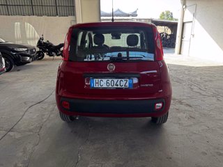 FIAT Panda 1.0 FireFly S&S Hybrid Icon