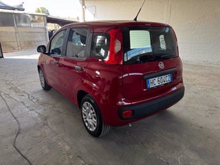 FIAT Panda 1.0 FireFly S&S Hybrid Icon