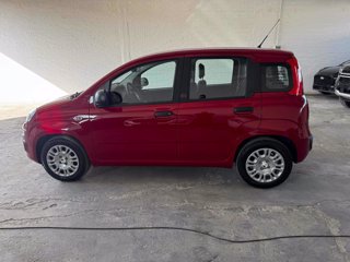 FIAT Panda 1.0 FireFly S&S Hybrid Icon