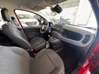FIAT Panda 1.0 FireFly S&S Hybrid Icon