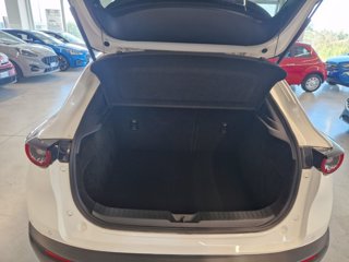 MAZDA CX-30 2.0L e-Skyactiv-G M Hybrid 2WD Homura