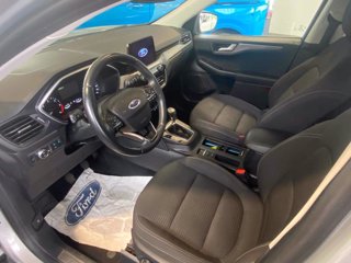 FORD Kuga 1.5 EcoBlue 120 CV 2WD Titanium